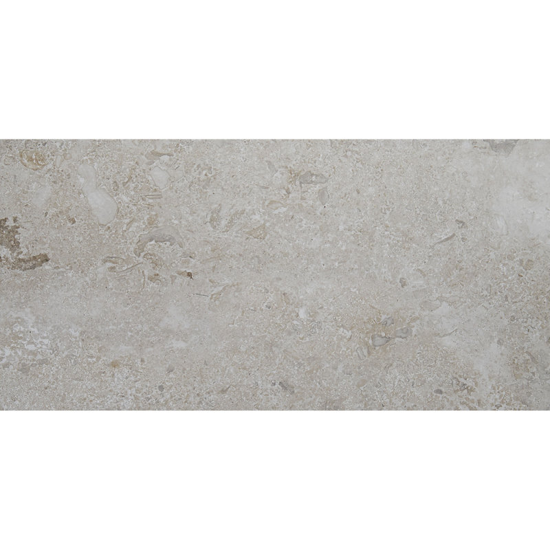 Itona Tile Newry 12" x 24" Porcelain Field Tile Wayfair